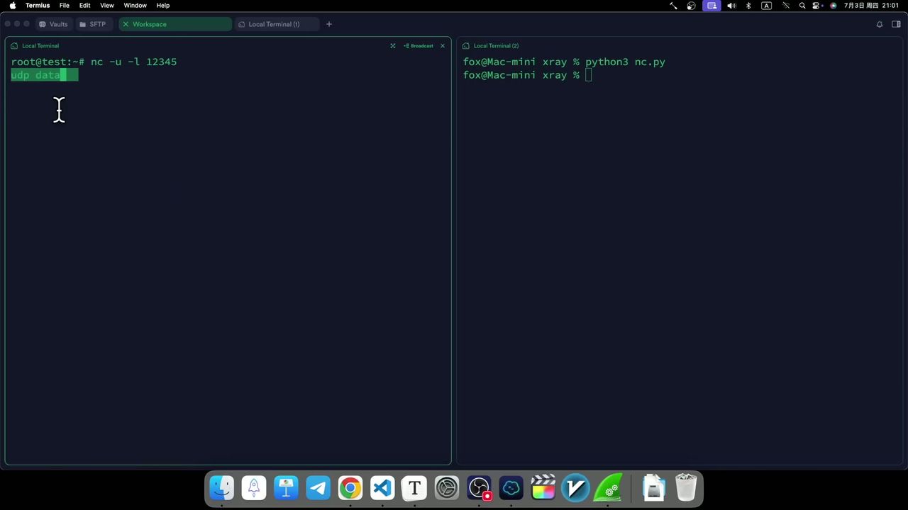 UDP 流量传输演示