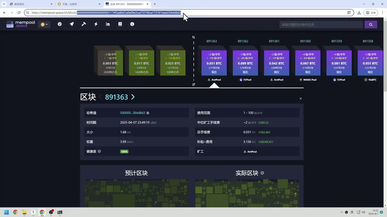 创世区块详细信息