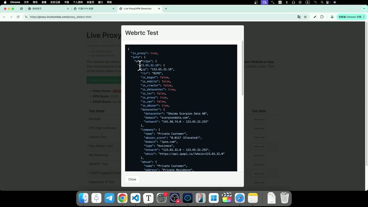 WebRTC 泄露真实本地 IP 的演示界面