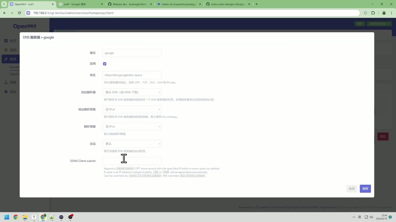 sing-box DNS ECS 配置参数详情
